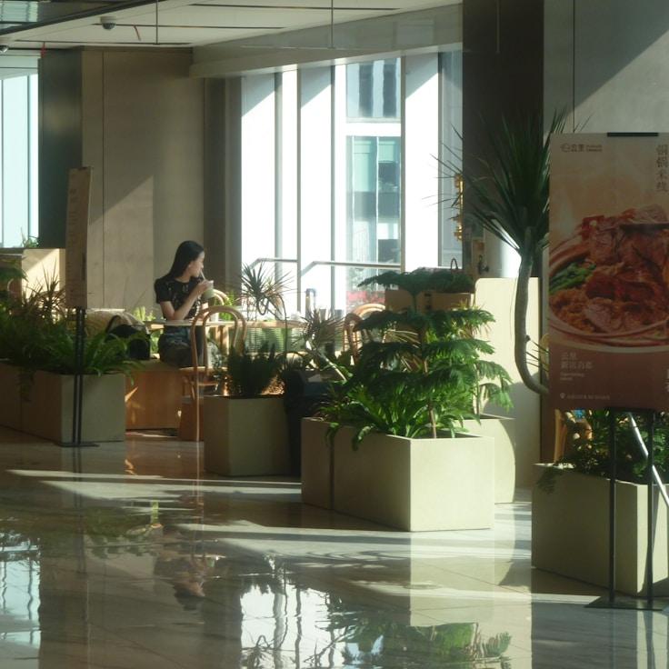 Dining out as an expat family in Switzerland